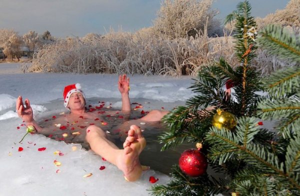 Новогодние приколы