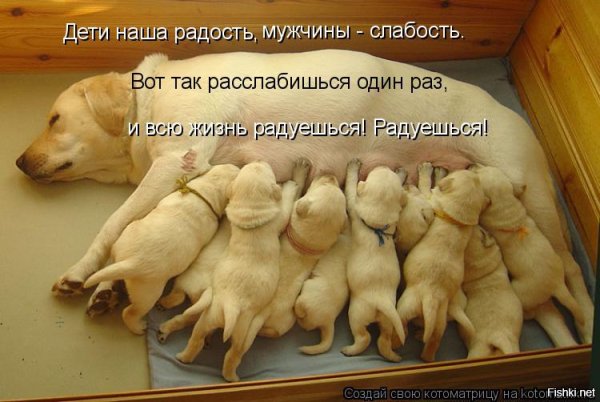 Наша радость