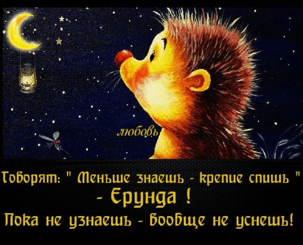 Прикольные пожелания спокойной ночи