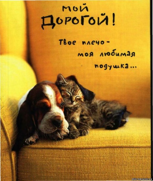 Открытки для любимого мужа
