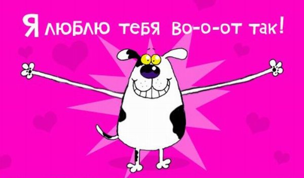 Вот так я тебя люблю