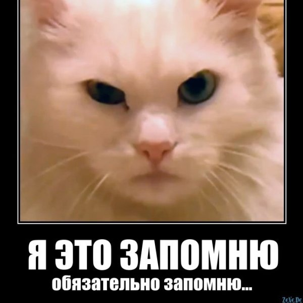 Мемные картинки "запомни"