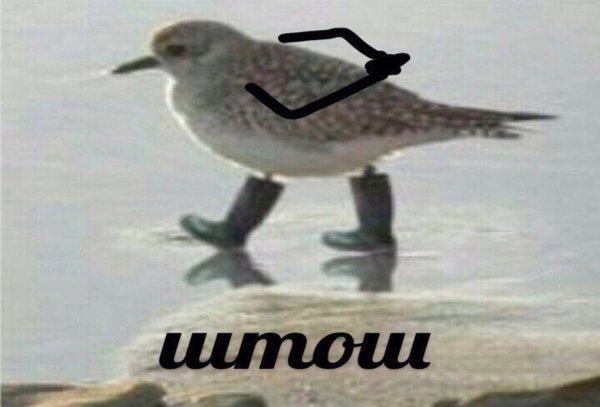 Штош Мем
