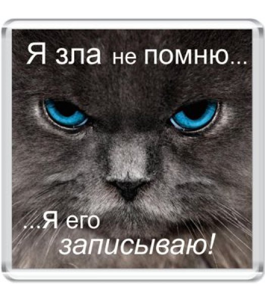 Я злая картинки с надписями
