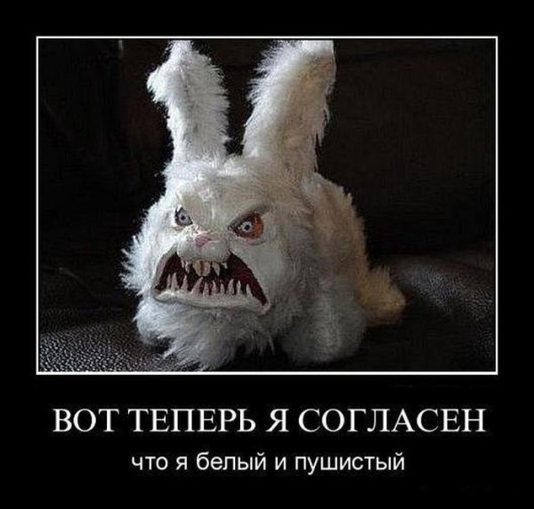 Белый и пушистый