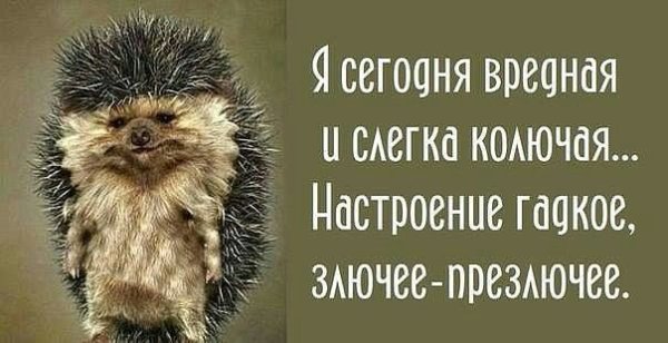 Вредный Ежик