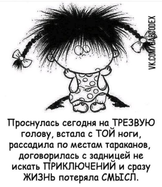 Афоризмы прикольные