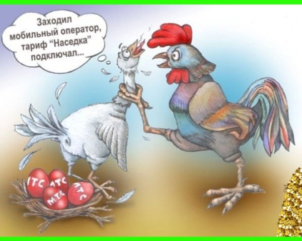 Куры карикатура