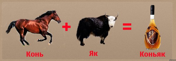 Коньяк ребус