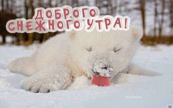 С добрым утром снег