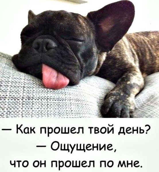 Как прошел твой день ощущение что он прошел по мне