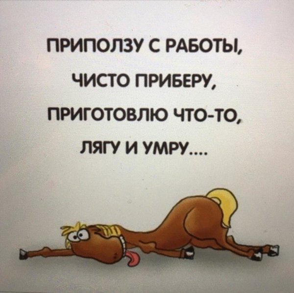 Когда устал на работе смешные картинки прикольные