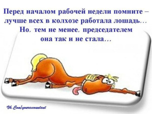 Работаю как лошадь