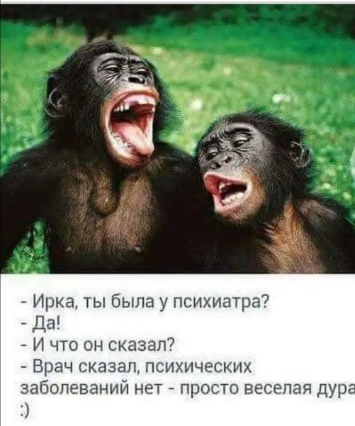 Открытка с обезьяной смешная