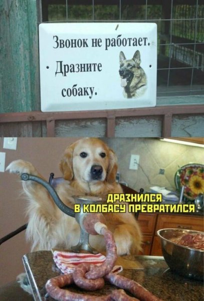 Смешные картинки синадписями