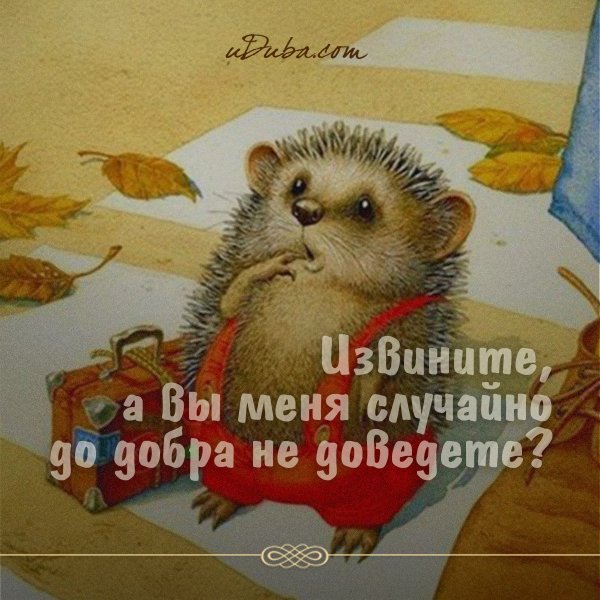 Извините вы меня до добра не доведете