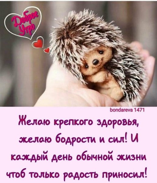 Доброе утро Ежик