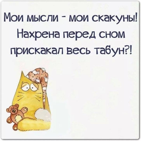 Смешные цитаты