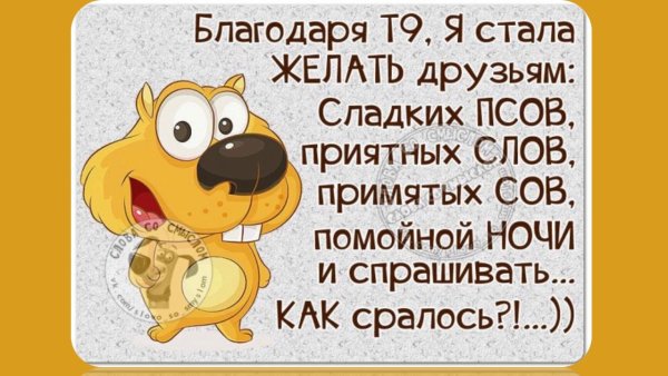 Статусы юмор
