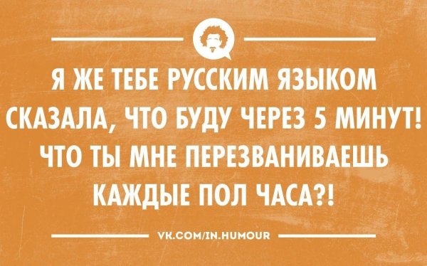 Цитаты приколы