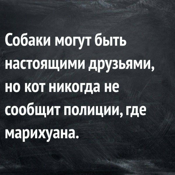 Смешные фразы