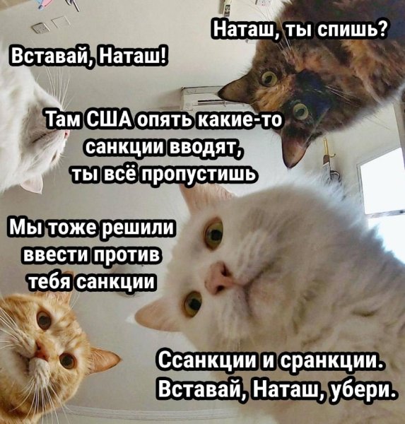 Забавные картинки для поднятия настроения с надписями