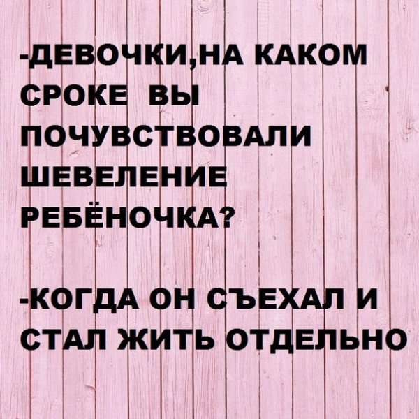 Смешные цитаты картинки до слёз