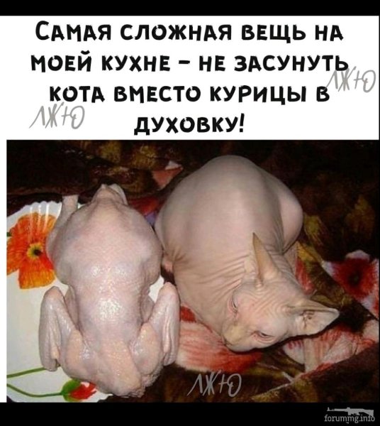 Юмор картинки приколы с надписями
