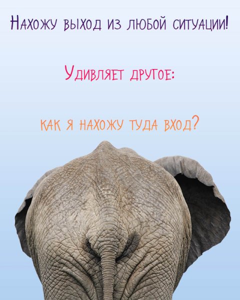 Юмор в картинках со смыслом