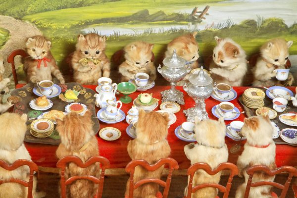 Кот застолье