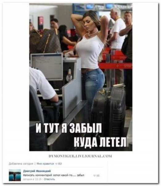 Прикольные картинки с комментариями