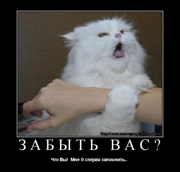 Забыл смешные картинки
