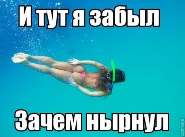 Нырнул прикол