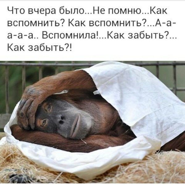 Голова болит прикол