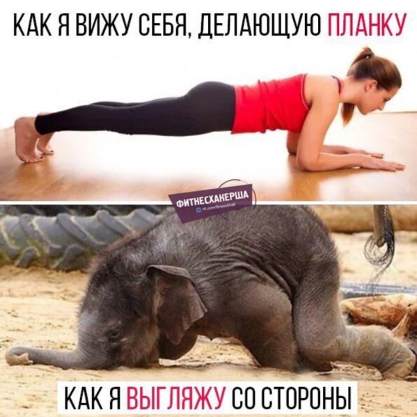 Стоять в планке с юмором