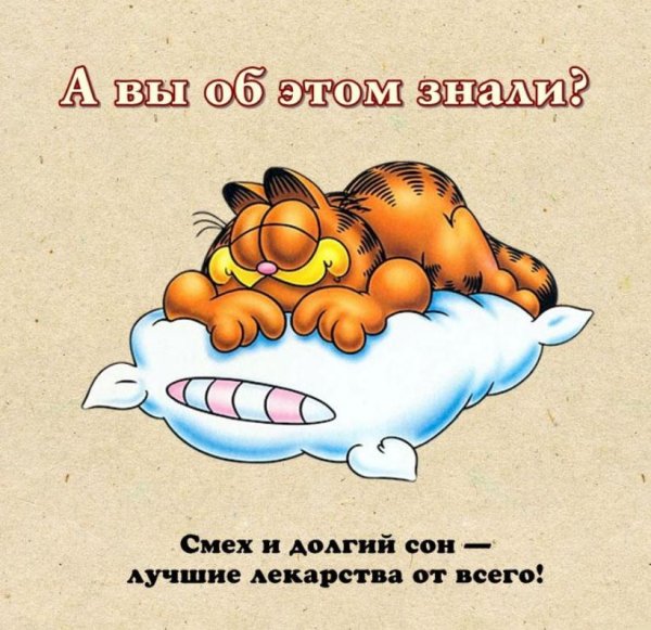 Смешные фразы про сон