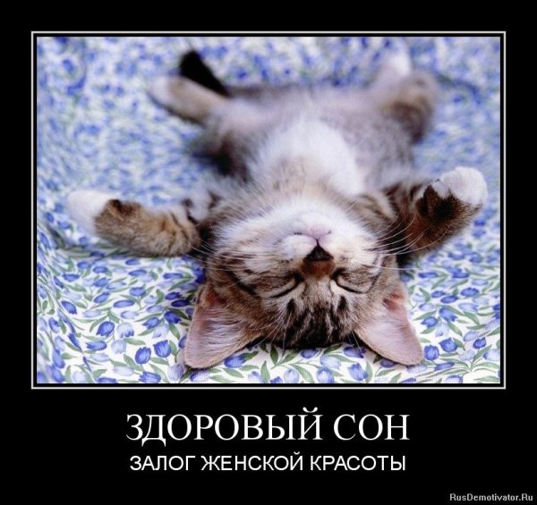 Смешные приколы про сон
