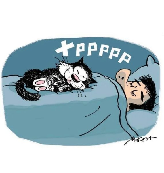 Сон карикатура
