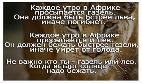 Заумные высказывания