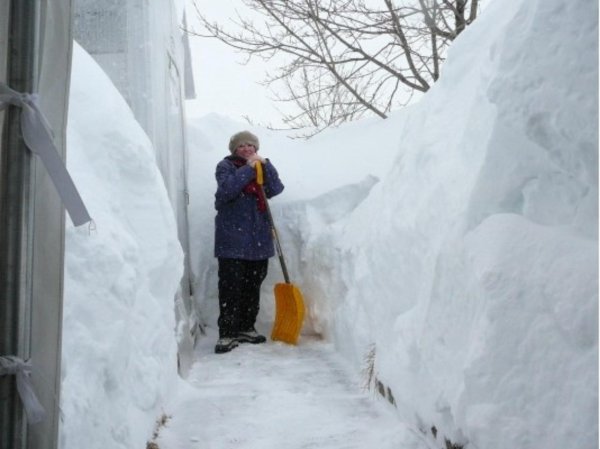 Сугробы в Сибири