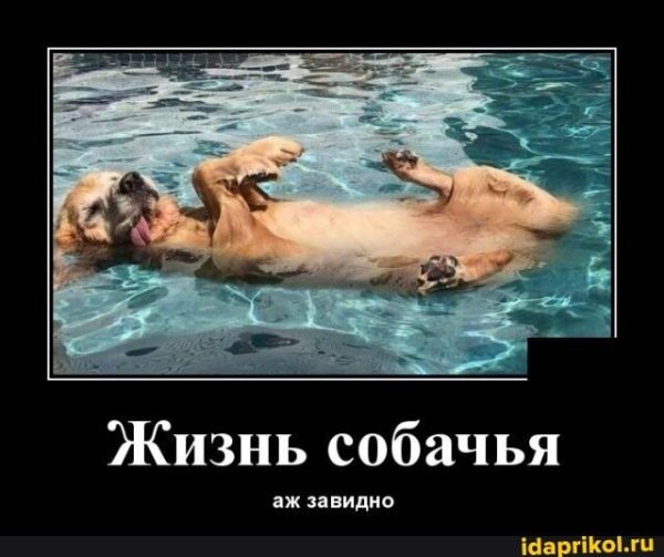 Фото ты такой умный аж завидно
