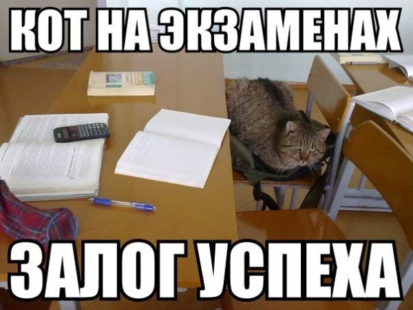 Веселые картинки про учебу