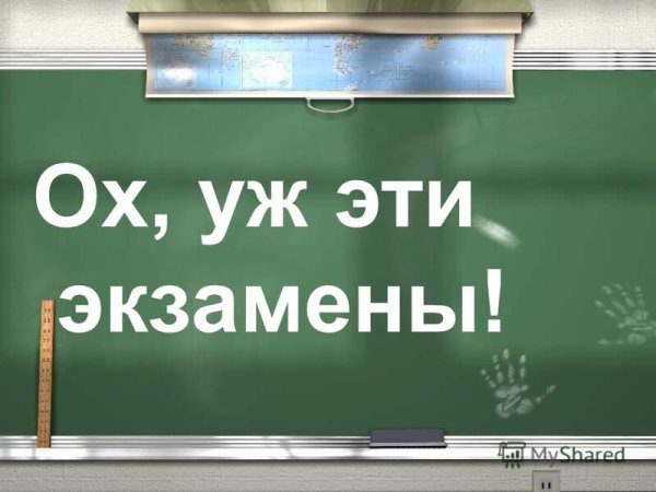 Цитаты про экзамены в школе