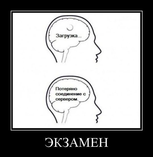 Экзамен картинки прикольные