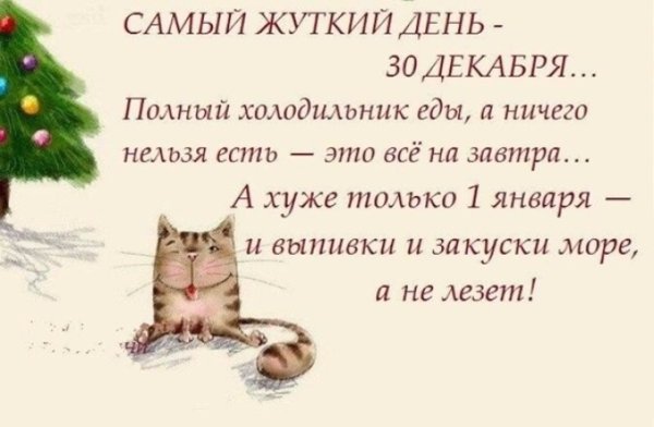 Смешные высказывания о новом годе