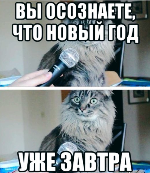 Завтра новый год картинки прикольные