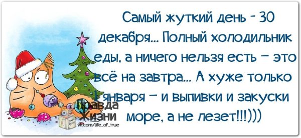 Юмор про новогодние праздники