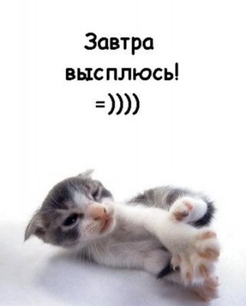 Завтра выходной картинки