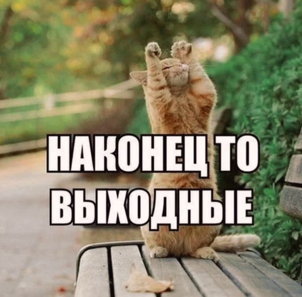 Наконец выходные