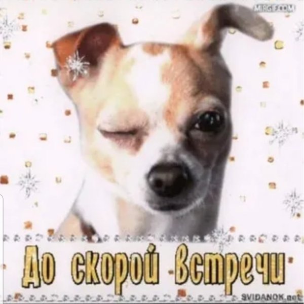 Открытки до встречи